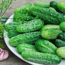 Огірок Засолочний / насіння 100 г.
