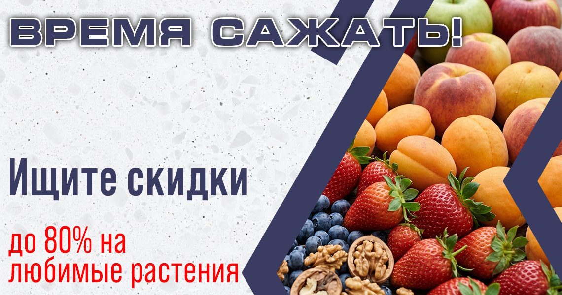 Сезон Весна 2026