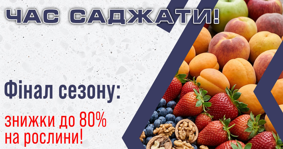 Сезон Весна 2026