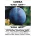 Саджанці сливи Анна Шпет